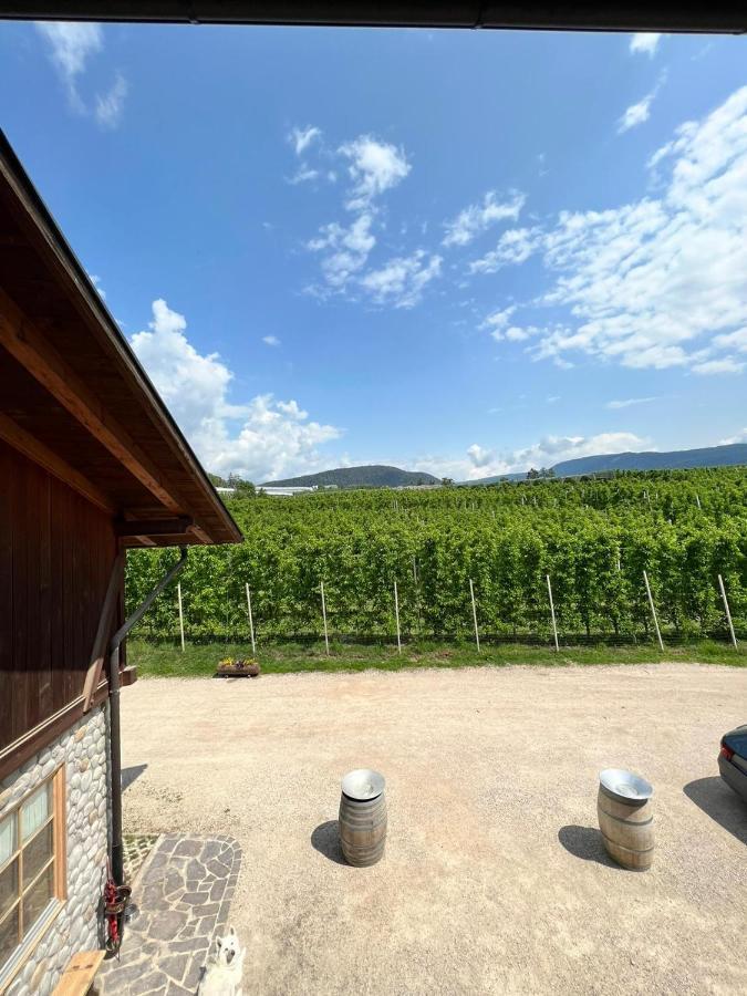 Agritur Maso Forcola Villa Brez Exterior photo