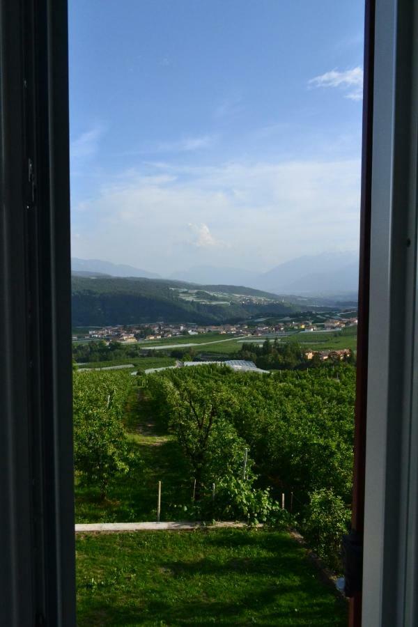 Agritur Maso Forcola Villa Brez Exterior photo